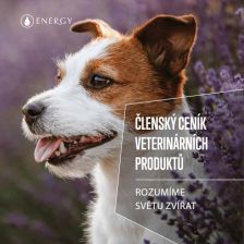Ceník veterina - členský