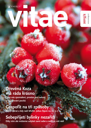 Vitae Únor 2015