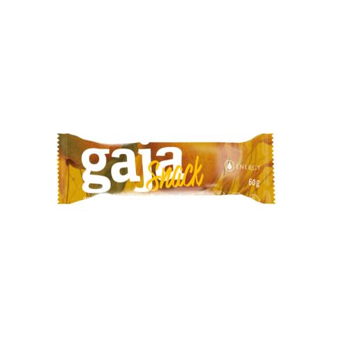 Gaja snack