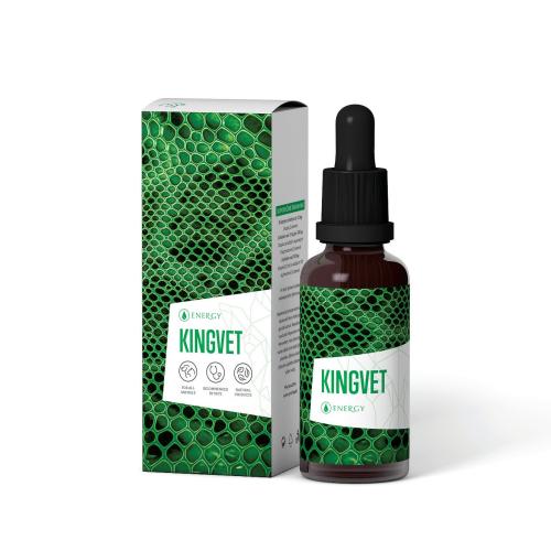 Kingvet akce -10%